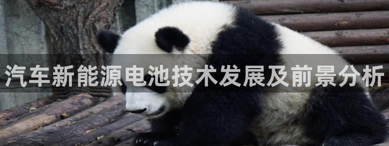 优发国际官方下载app