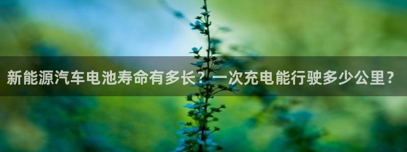 优发国际顶级