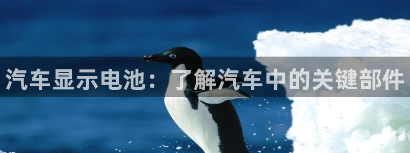 优发国际网官网17o8