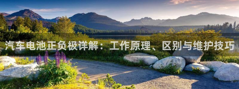 优发国际手机版网站官网