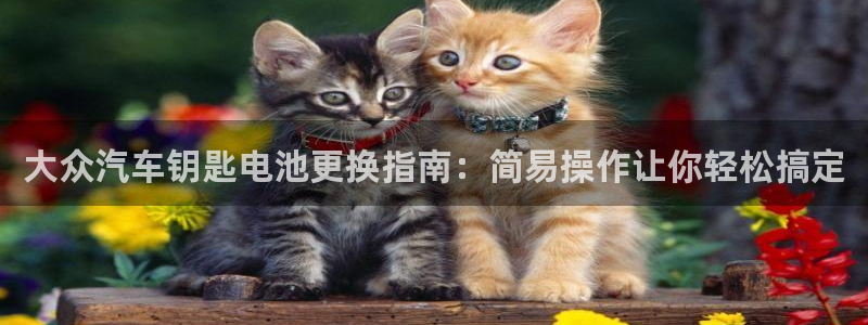 优发国际首页app