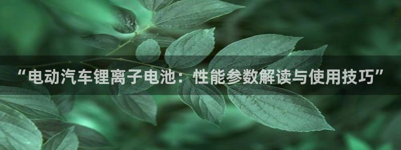 优发国际youfa966