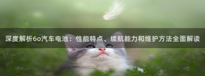 优发国际youfa966