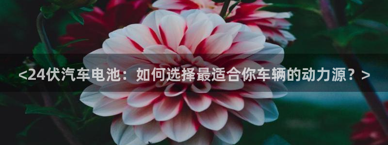 优发国际平台u8是什么软件