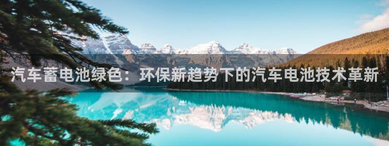 优发国际是大平台吗还是小平
