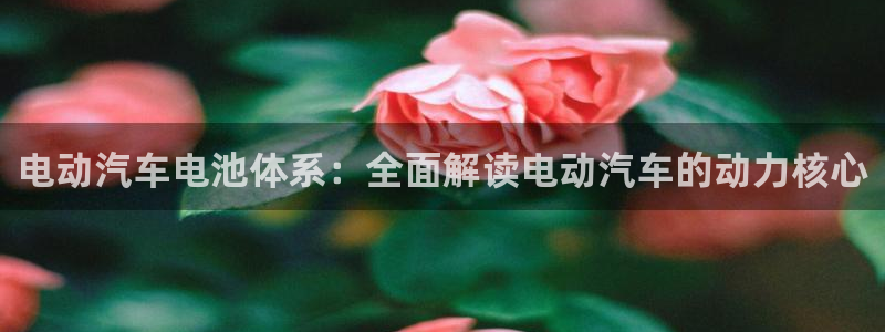 优发国际官网网站入口
