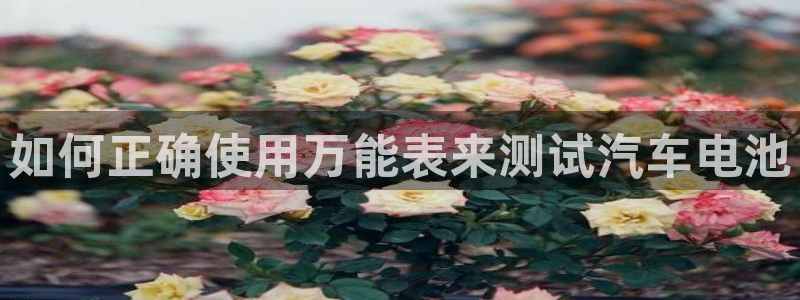 优发国际官网手机版入口