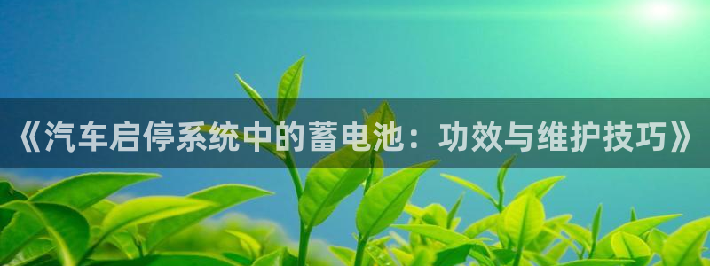 优发国际平台u8