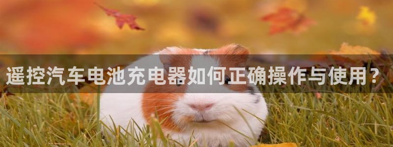 优发国际网官网址是多少