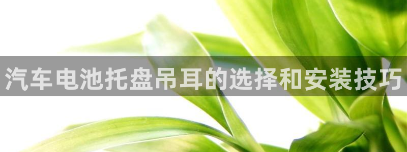 优发国际游戏n：汽车电池托盘吊耳的选择和安装技巧