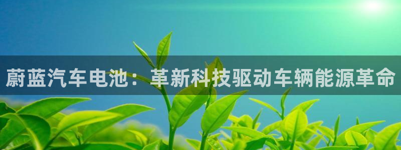 优发国际官网手机版下载：蔚蓝汽车电池：革新科技驱动车辆能源革命