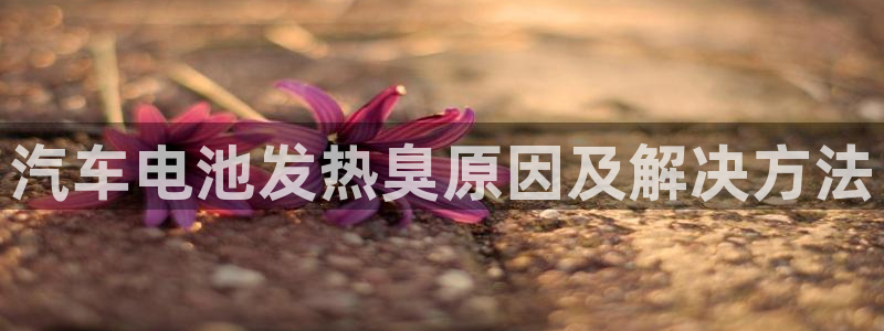 优发国际手机版唯一官网是什么