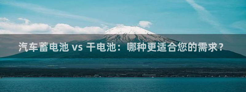 优发国际官方网手机版下载安卓：汽车蓄电池 vs 干电池：哪种更适合您的需求？