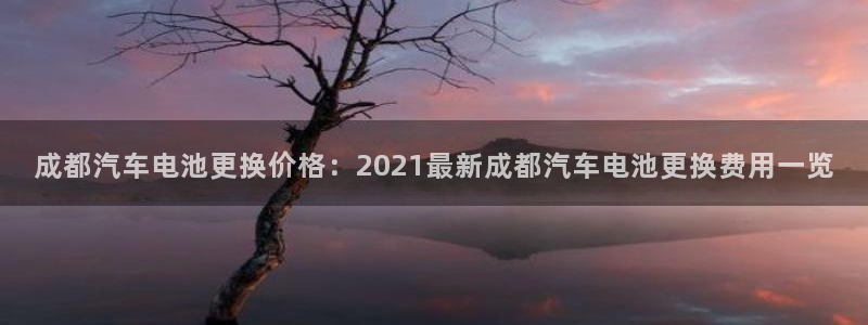 优发国际网官网：成都汽车电池更换价格：2021最新成都汽车电池更换费用一览