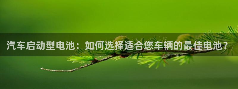 优发国际官方网手机版app