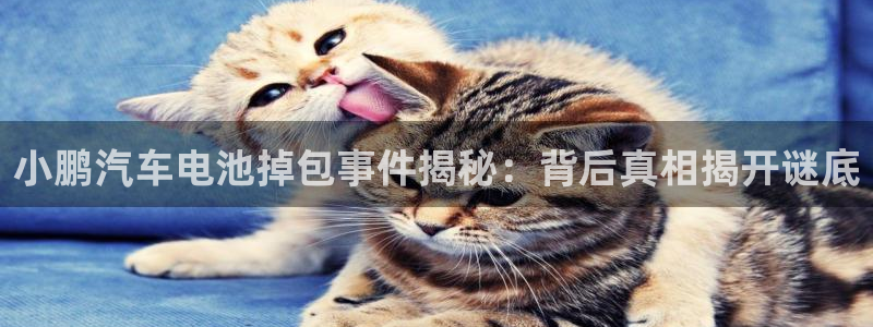 优发国际平台app下载安装