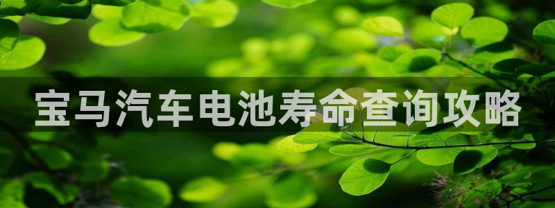 优发国际网官网17k8