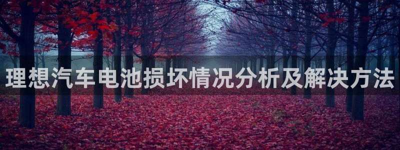 优发国际平台u8是什么公司