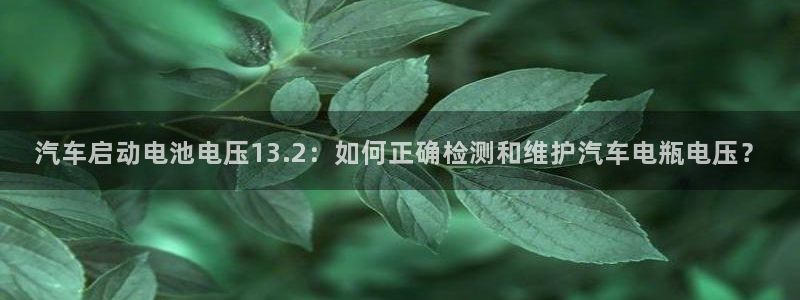 优发国际手机客户端官网首页：汽车启动电池电压13.2：如何正确检测和维护汽车电瓶电压？