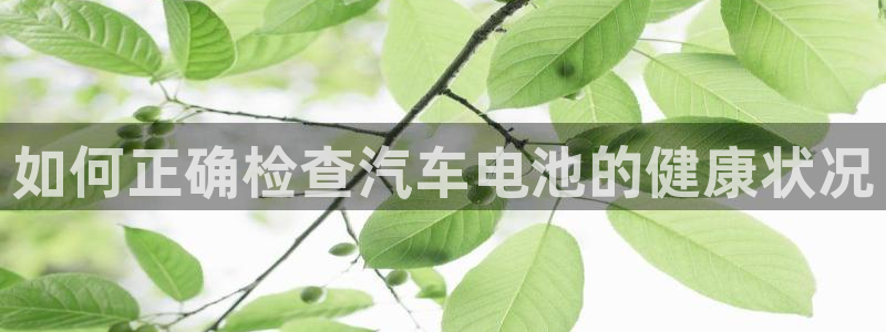 优发国际的官网是什么软件