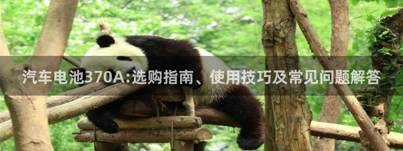 优发国际是大平台吗还是小平