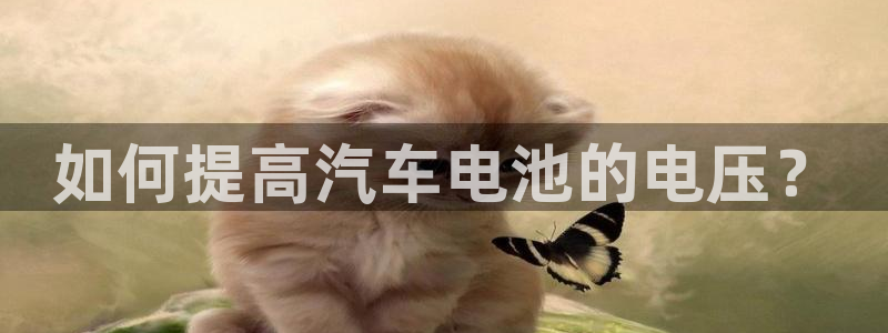 优发国际