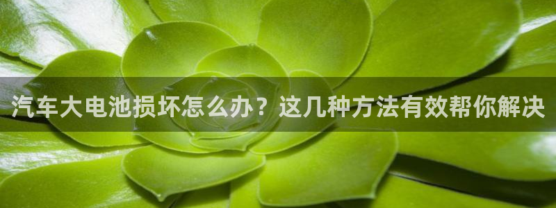优发国际的官网是什么