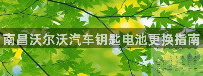 优发国际手机app下载安装官网