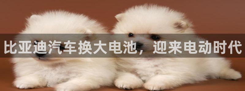 优发国际游戏17岁能玩吗