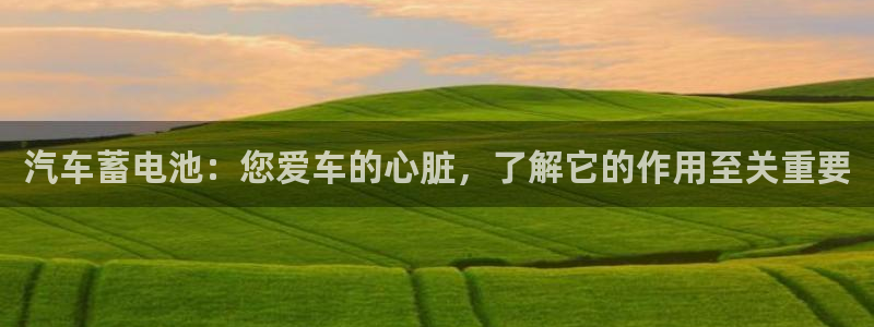 优发国际客服联系方式电话