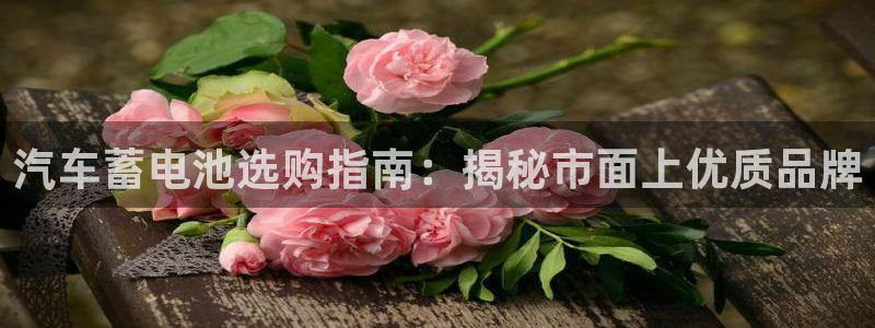 优发国际平台u8是什么软件