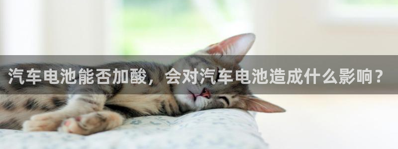 优发国际平台app下载安装
