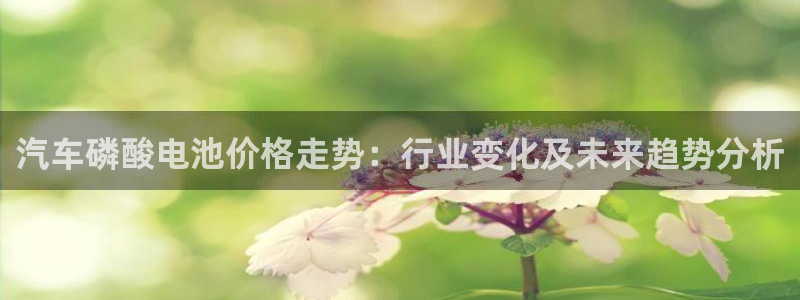 优发国际平台u8怎么样可靠吗