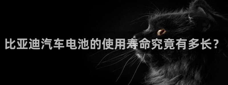 优发国际这个平台怎么样可靠吗