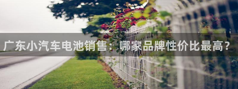 优发国际app