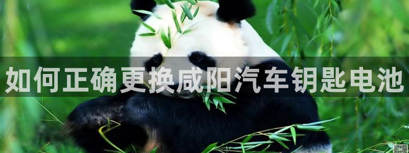 优发国际顶级