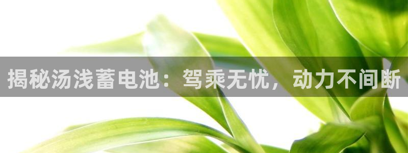 优发国际app官网下载安装苹果