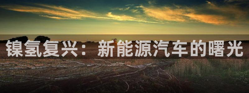 优发国际平台APP