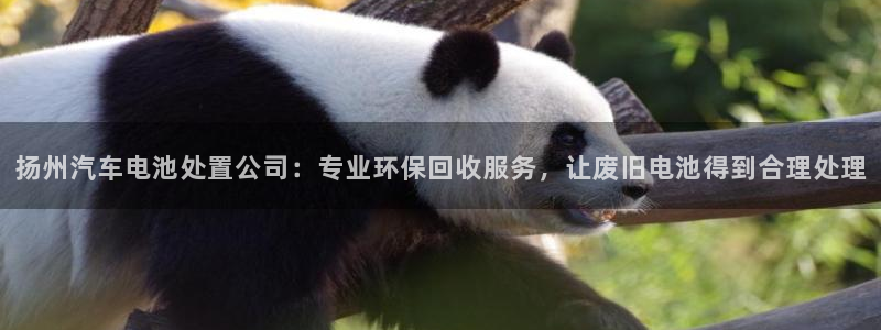 优发国际官方网平台登录
