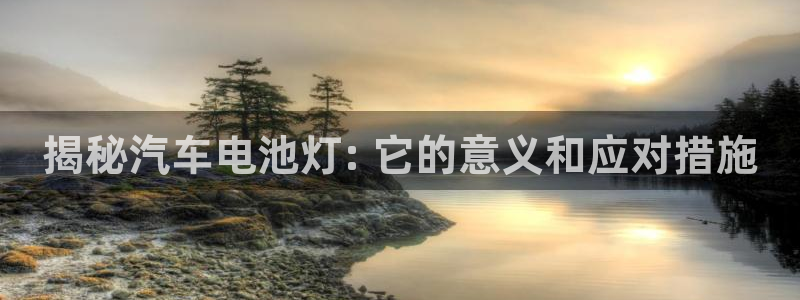 优发国际是大平台吗还是小平