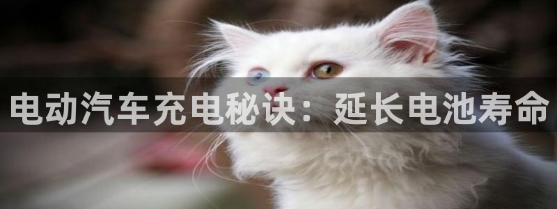 优发国际