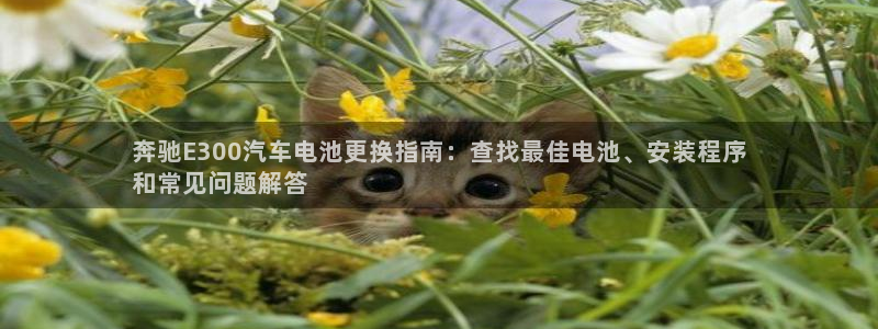 优发国际平台u8怎么样可靠吗