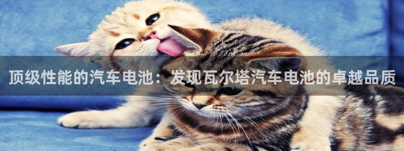 优发国际是不是黑网