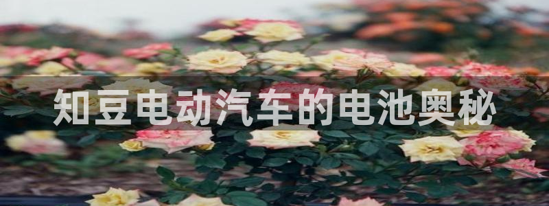 优发国际安卓版下载安装最新版