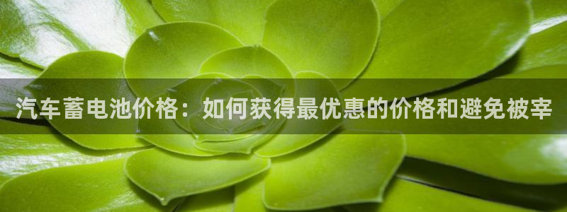 优发国际手机app下载安装苹果