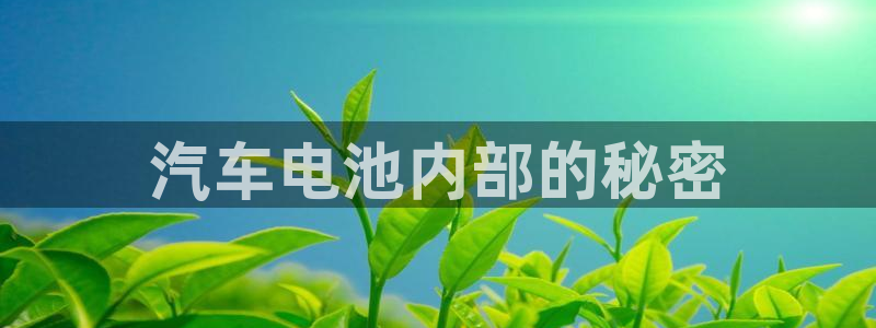 优发国际游戏官网