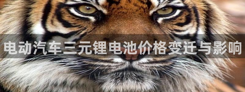 优发国际游戏网站