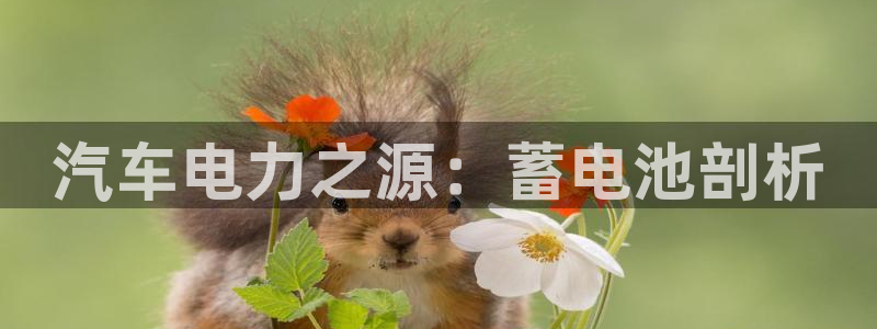 优发国际网官网