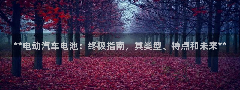 优发国际手机登录下载安装