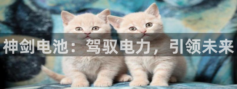 优发国际这个平台怎么样啊
